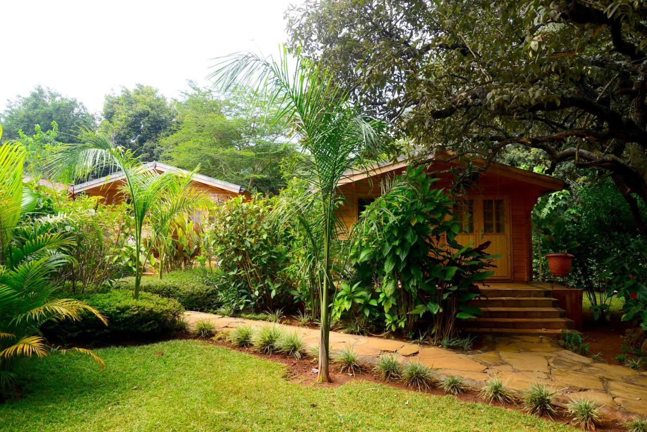 Severine Cottages And Lounge Ltd Nairobi Exterior foto